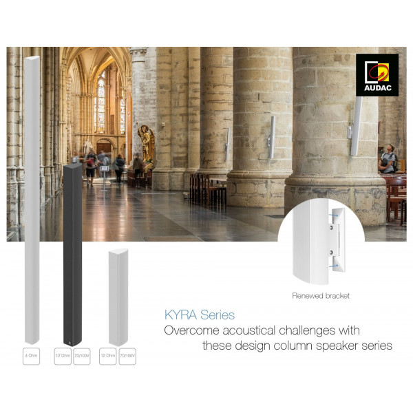 Line array Column Speaker with 24 x 2" drivers